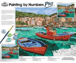 Royal & Langnickel Pictura pe numere master Laguna (PBN-PRO1) - officegarage Carte de colorat