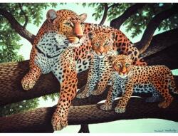 Royal & Langnickel Pictura pe numere juniori, Leopard african (PJL24) Carte de colorat