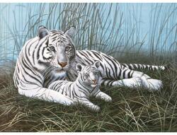 Royal & Langnickel Pictura pe numere juniori, Tigri albi (PJL22)