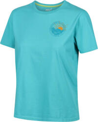 INOV-8 GRAPHIC TEE "2003" W Rövid ujjú póló 001112-tl-01 Méret 38 001112-tl-01