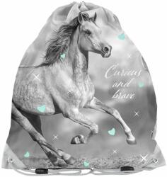 PASO Lovas tornazsák - Crystail