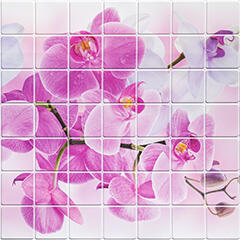 ANRO Wall Flexpanel PVC falburkoló lap - Csempe rózsaszín Orchidea, műanyag burkolat oldalfalra (TP10018768 - Rosea Orchid)