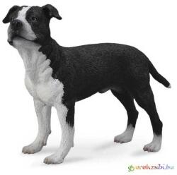CollectA - Amerikai Staffordshire Terrier - Amstaff