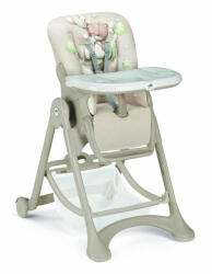 CAM Campione C261/C52 2023