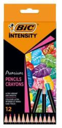 BIC Creioane Colorate 12 Culori Bic Intensity Premium Lemn 651968 (9518441)