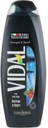 Vidal Gel de duș Energy and sport - Vidal Energy & Sport Shower Gel 600 ml