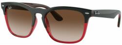 Ray-Ban Steve RB4487 663113