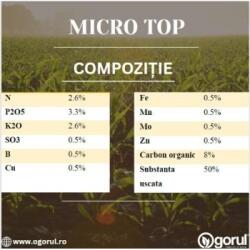 EuroTSA Micro Top 30 kg