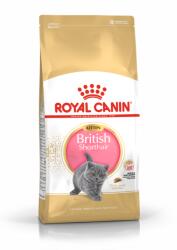 Royal Canin British Shorthair Kitten 10kg + SURPRIZĂ PENTRU PISICĂ ! ! !
