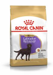 Royal Canin Labrador Retriever Sterilised 12kg + SURPRIZĂ PENTRU CÂINELE TĂU ! ! !