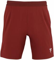 Tecnifibre Pantaloni scurți băieți "Tecnifibre Team Short - cardinal