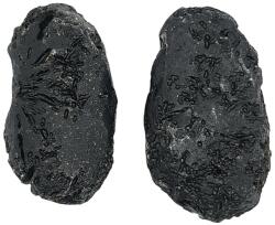  Tectita Philipine Naturala Brut - Sticla de Contact Meteorit 32-62 x 13-18 x 11-16 mm - ( XXL ) - 1 Buc