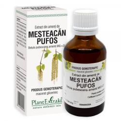 PlantExtrakt, Romania Extract Din Amenti De Mesteacan Pufos 50ml