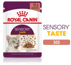 Royal Canin Sensory Taste hrana umeda pisici plicuri 12x85g