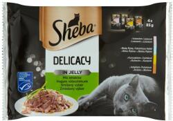 Sheba Fine Flakes in jelly 52x85 g