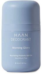 HAAN Morning Glory roll-on 40 ml