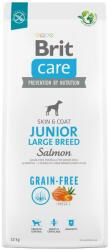 Brit Brit Care Dog Grain-Free Junior Large Храна за кучета, суха, за млади, от 3 месеца до 2 години, големи породи, над 25 кг, със сьомга, 12kg