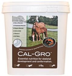FORAN EQUINE Cal-Gro 3 kg