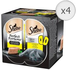 Sheba 3- pack Perfect Portions csirkével, 24x75g
