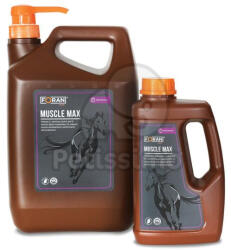 FORAN EQUINE Muscle Max 1 л