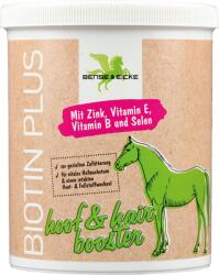 Bense & Eicke Biotin plus Pellets - 1 kg