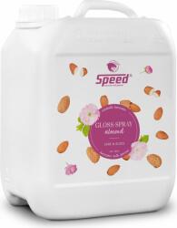 SPEED ALMOND Gloss-Spray - 2.500 ml