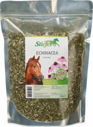 Stiefel Echinacea, vágott - 500 g