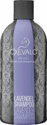 CXEVALO Levendula sampon - 500 ml