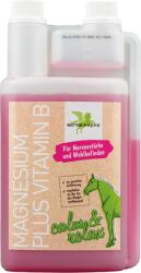 Bense & Eicke Magnesium plus Vitamin B - 1.000 ml