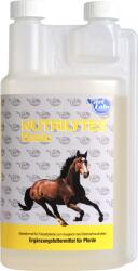 NutriLabs NUTRILYTES BASIC folyadék - 1 l