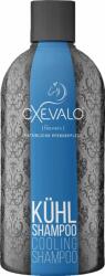 CXEVALO Hűsítő sampon - 500 ml