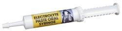 Electrolyte Paste - Elektrolit paszta 30 ml