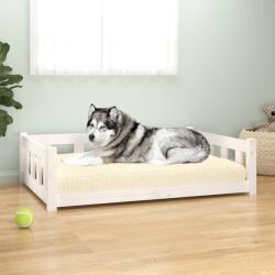 vidaXL Pat pentru câini, alb, 105, 5x75, 5x28 cm, lemn masiv de pin (832694)