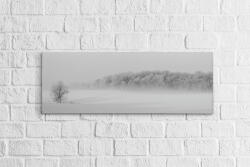 4 Decor Tablou canvas panoramic - Winter forest - beestick-deco - 79,99 RON