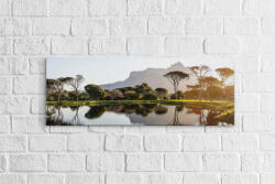 4 Decor Tablou canvas panoramic - Cape Town - beestick-deco - 79,99 RON