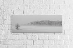 4 Decor Tablou canvas panoramic - Winter forest - beestick-deco - 99,99 RON