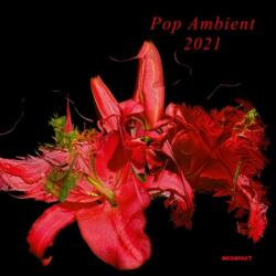 Various Pop Ambient 2021