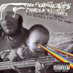 Flaming Lips Dark Side Of The Moon