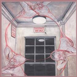 Caina Gentle Illness