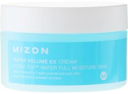 MIZON Water Volume EX Cream 100 ml
