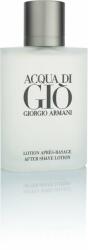 Giorgio Armani Acqua di Gio 100 ml