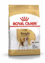 Royal Canin Beagle Adult 12kg + MEGLEPETÉS A KUTYÁDNAK