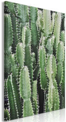 Artgeist Vászonkép - Cactus Garden (1 Part) Vertical 80x120