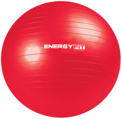 Energy Fit Minge fitness aerobic 65cm Energy Fit rosu