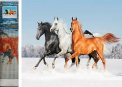 NORIMPEX - Puzzle Diamond Painting Konské trio 30x40cm - 1 - 39 piese