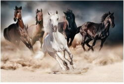  Signal Kép HORSES 120x80 cm