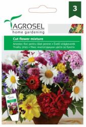 AGROSEL Seminte flori perene pentru taiat, 4 grame, AGROSEL (HCTG01457)