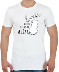printfashion Mégis ki az az Alíz? - Férfi póló - Fehér (13325707)