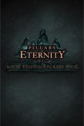 Paradox Interactive Pillars of Eternity Royal Edition Upgrade Pack (PC)