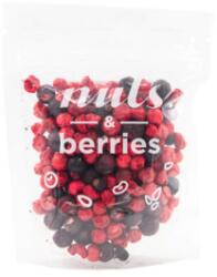 Nuts & berries liofilizált ribizli mix 25 g - menteskereso